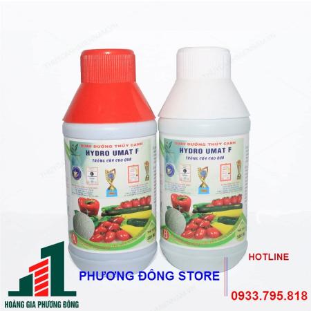 Dinh dưỡng thủy canh rau ăn quả